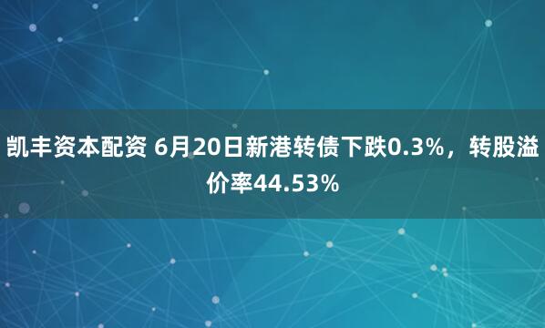 凯丰资本配资 6月20日新港转债下跌0.3%，转股溢价率44.53%