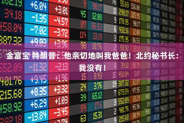 金富宝 特朗普：他亲切地叫我爸爸！北约秘书长：我没有！