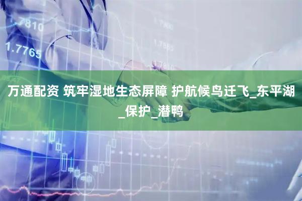 万通配资 筑牢湿地生态屏障 护航候鸟迁飞_东平湖_保护_潜鸭