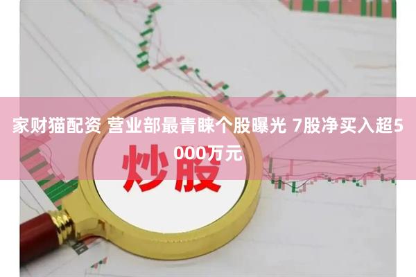 家财猫配资 营业部最青睐个股曝光 7股净买入超5000万元