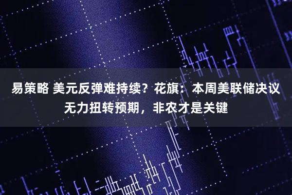 易策略 美元反弹难持续？花旗：本周美联储决议无力扭转预期，非农才是关键