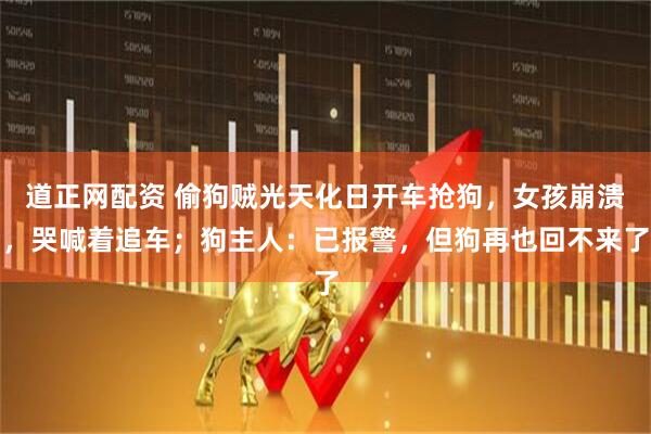 道正网配资 偷狗贼光天化日开车抢狗，女孩崩溃，哭喊着追车；狗主人：已报警，但狗再也回不来了